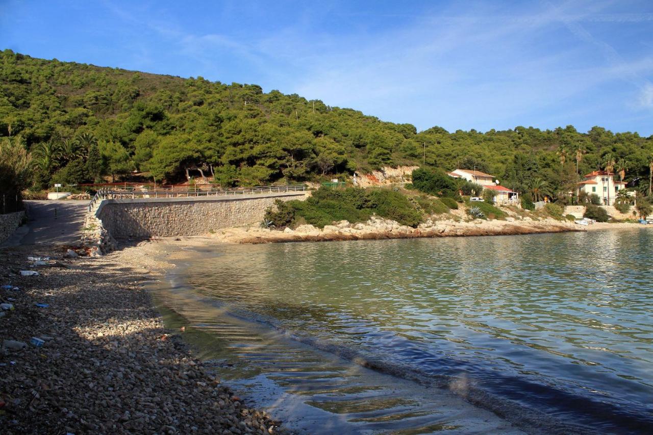Apartments By The Sea Milna, Vis - 8913 Exteriör bild
